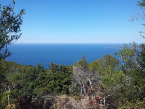 Ausblick Gipfel
