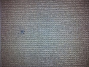 Spinne