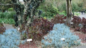 Botanischer Garten