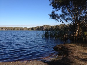Lake Ainsworth