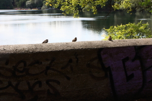 Berlin_19_08_009