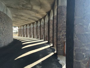 IMG_3234