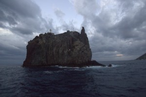 IMG_5523