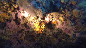 vlcsnap-2015-09-27-08h10m43s67
