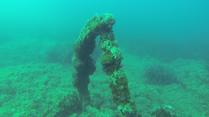 vlcsnap-2015-09-28-21h06m47s71