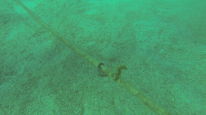 vlcsnap-2015-09-30-22h46m28s245