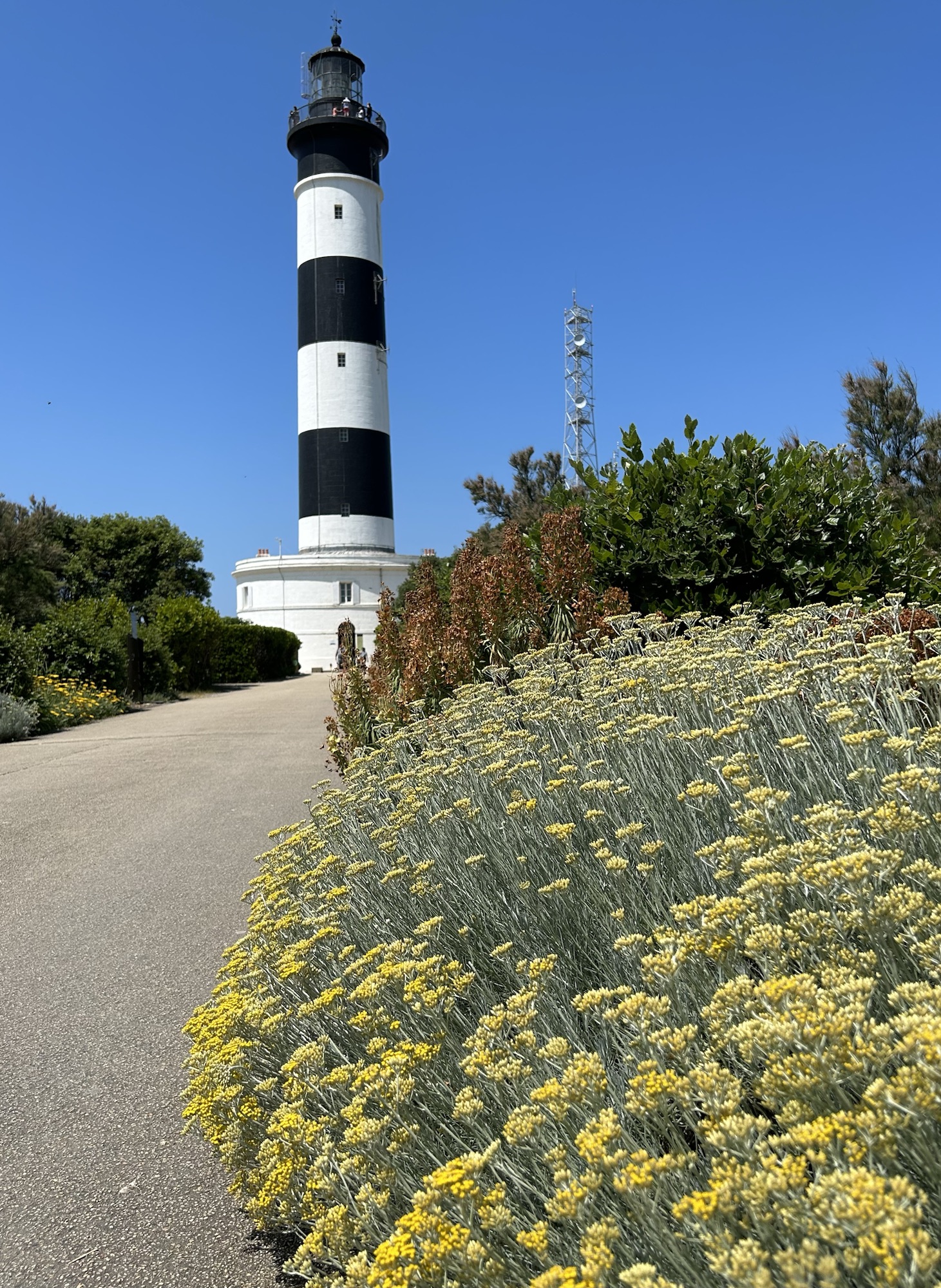 06.06.2023 – Leuchtturm von Chassiron und Eselfarm