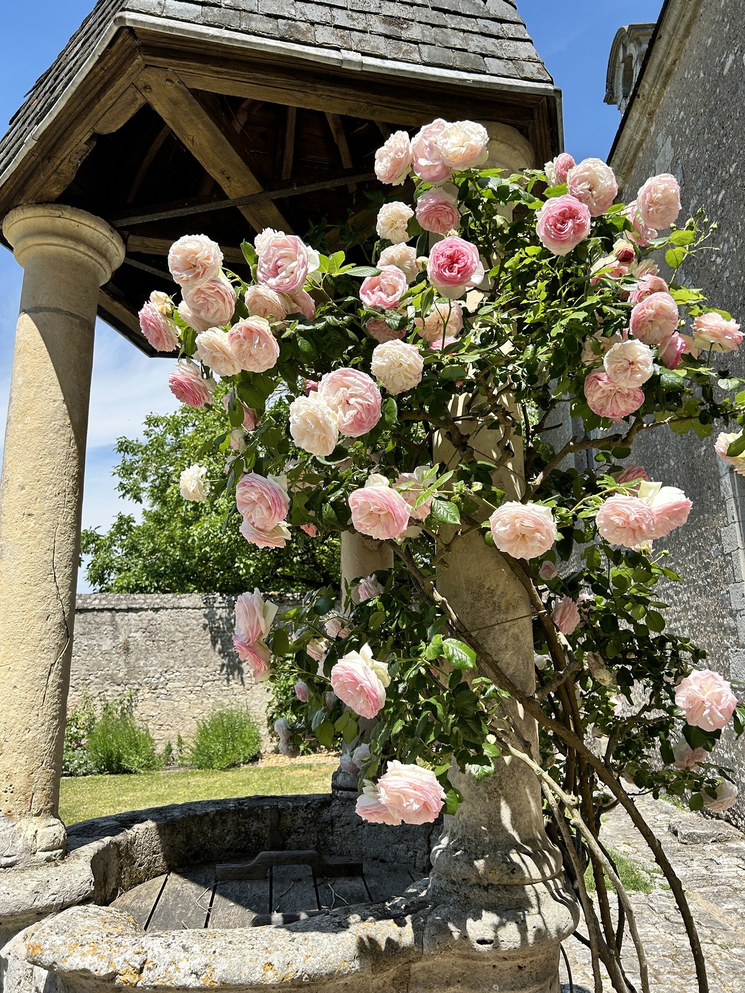 08.06.2023 – Haselnussfarm und Schloss Talcy