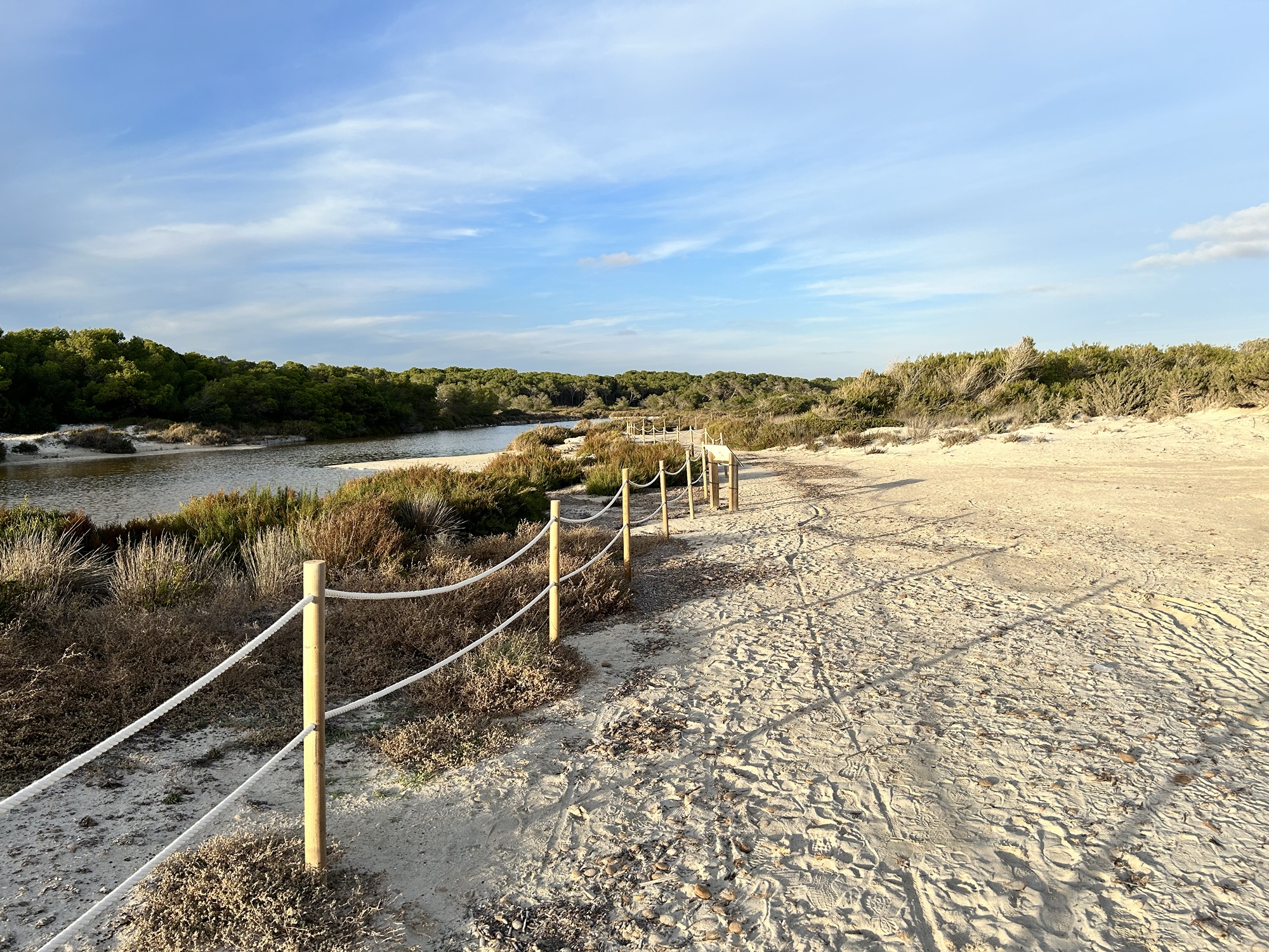 29.10.2023 – Colonia De Sant Jordi, Platja des Trenc